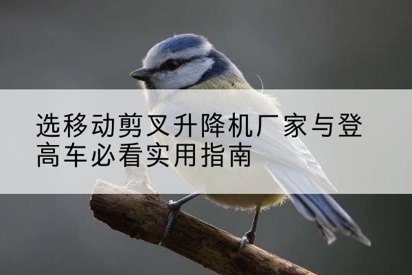 乡城电动升降机厂家-选移动剪叉升降机厂家与登高车必看实用指南