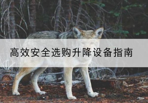乡城升降货梯厂家推荐-*安全选购升降设备指南