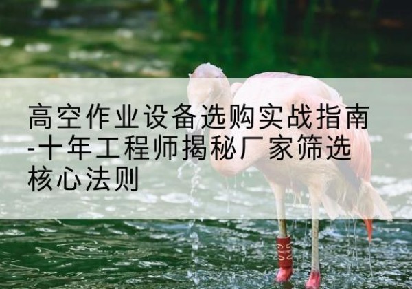 乡城剪叉式升降机厂家-高空作业设备选购实战指南-十年工程师揭秘厂家筛选核心法则
